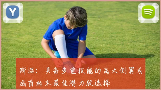 斯温：具备多重技能的高大侧翼或成首轮末最佳潜力股选择