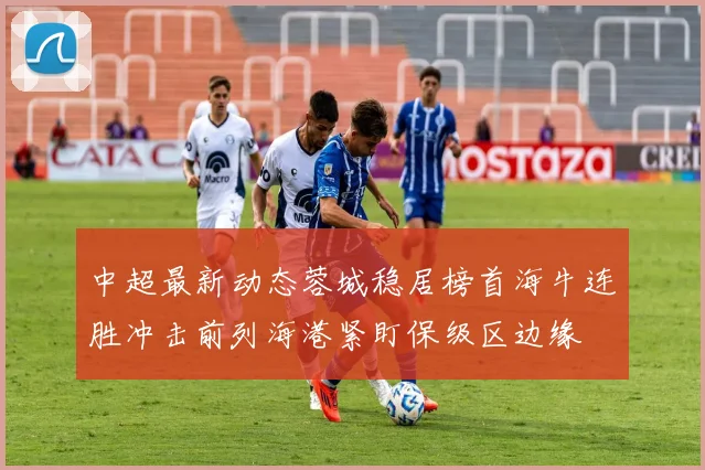 中超最新动态蓉城稳居榜首海牛连胜冲击前列海港紧盯保级区边缘